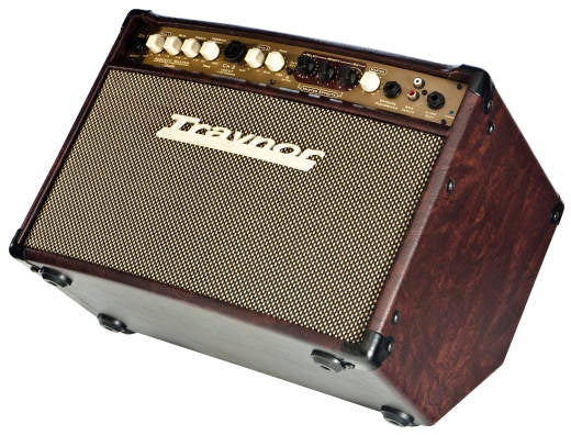 Traynor 2-Channel Compact Stereo Acoustic Guitar Amp - 65 Watts AMSTUDIO