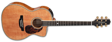 TAKAMINE 60th Anniversary LIMITED EDITION LTD2022 CONCERT ACOUSTIC ELECTRIC