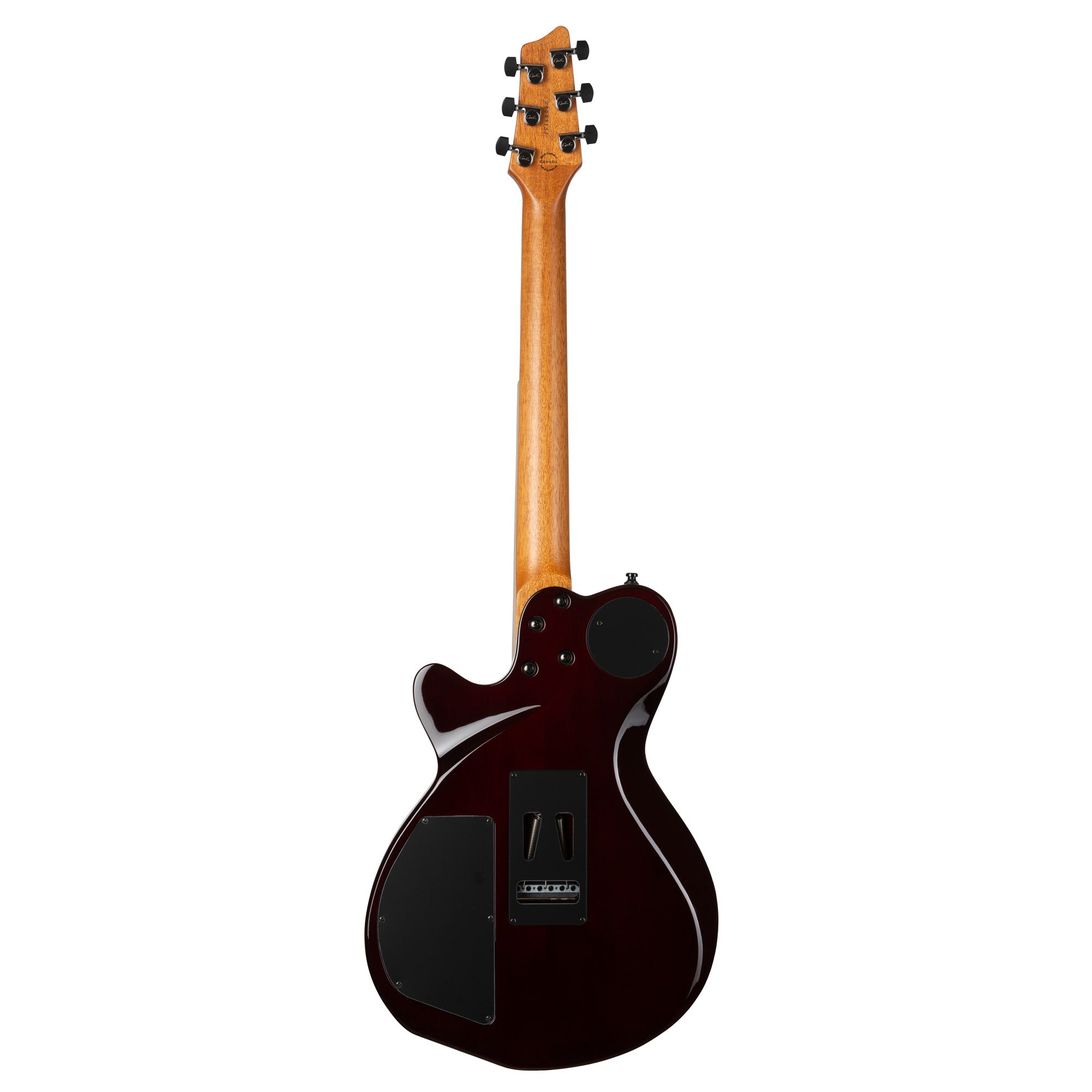 Godin Made in Canada xtSA Lightburst Flame 028672