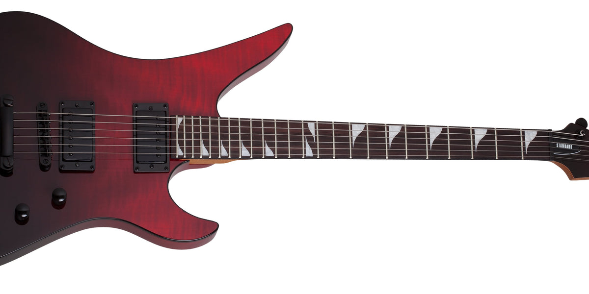 SCHECTER USA CUSTOM SHOP AVENGER用 純正HC 【公式通販】