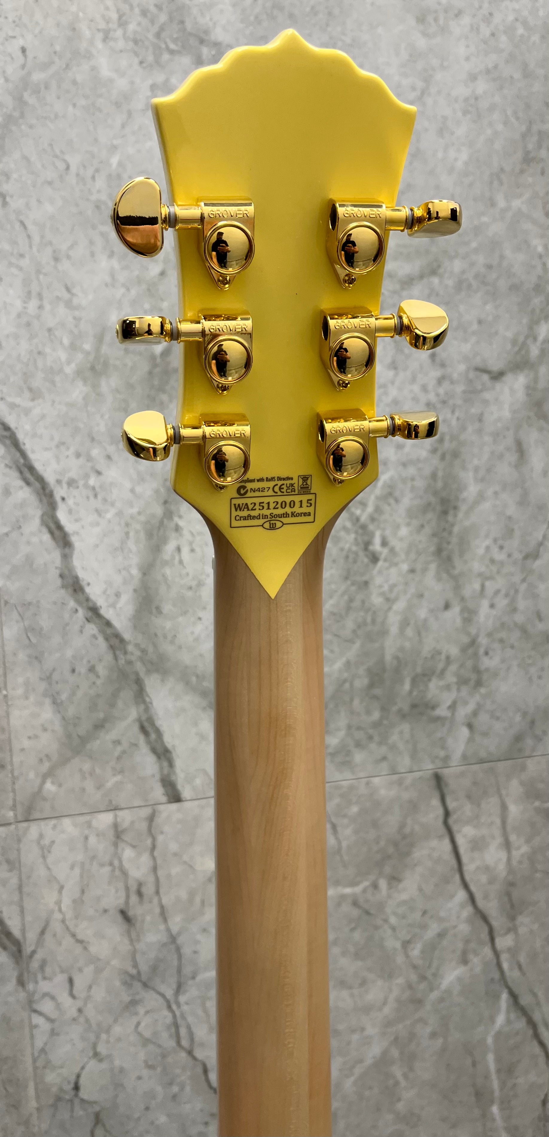 Wylde Audio Odin Grail Genesis Bullseye 4513-SHC SERIAL NUMBER WA25120015 - 9 LBS 3 OZ