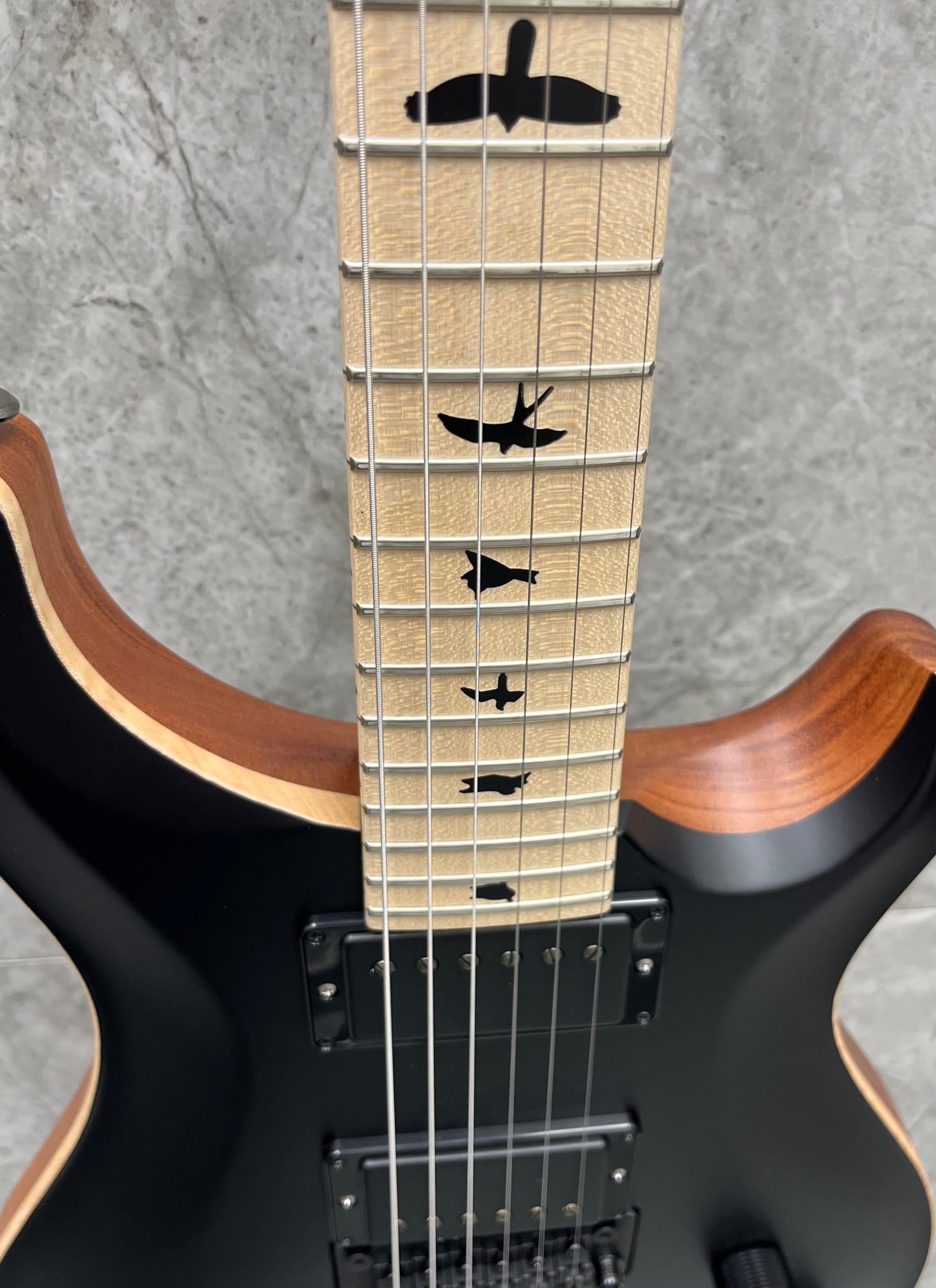 PRS Guitars USA DW CE 24 Dustie Waring Floyd Electric Guitar with Gigbag - Black Top 112797::ZV: SERIAL NUMBER 24 0400415 - 7.6 LBS