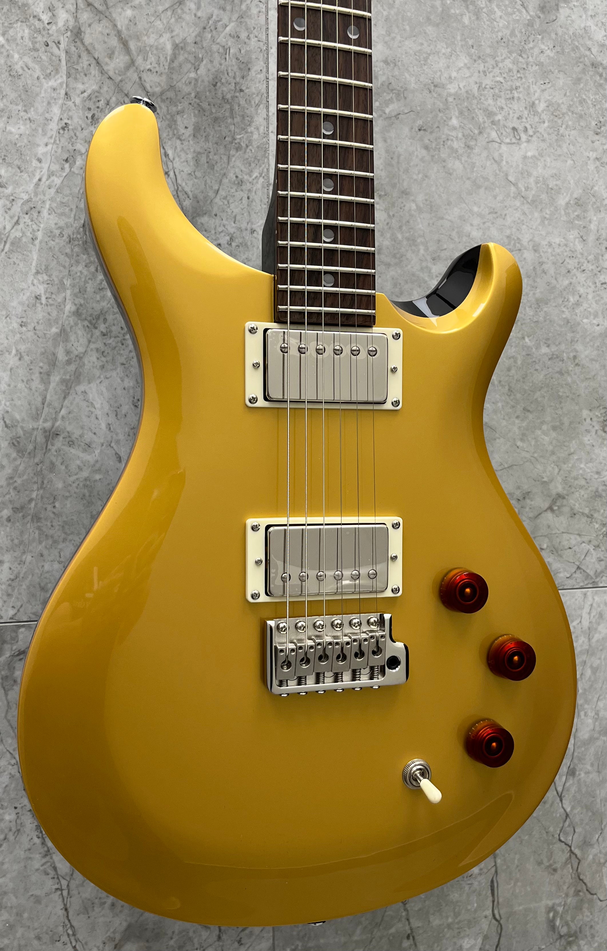PRS Guitars | SE DGT - 2023