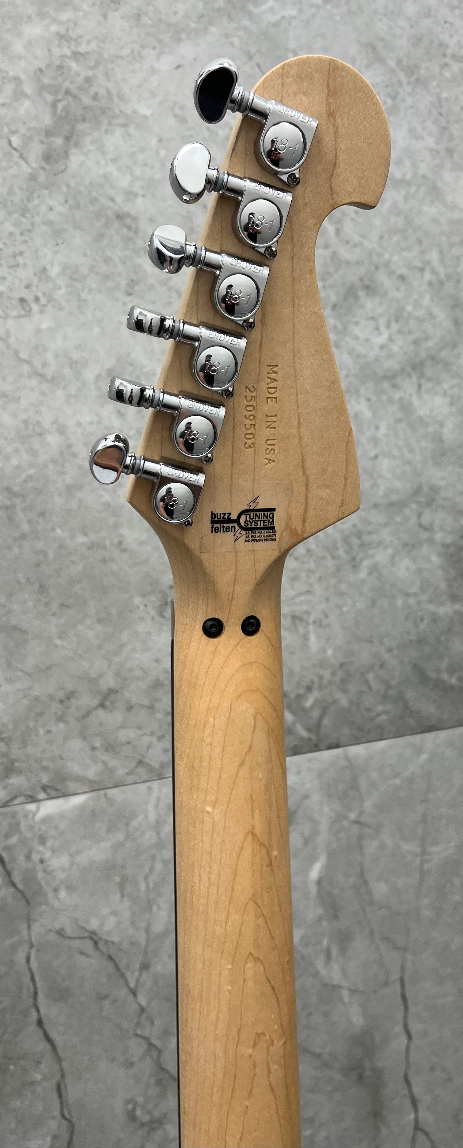 Washburn USA N4 Nuno Bettencourt Swamp Ash Natural Matte Finish N4ESANM-D SERIAL NUMBER 2509503 - 6 LBS 12 OZ