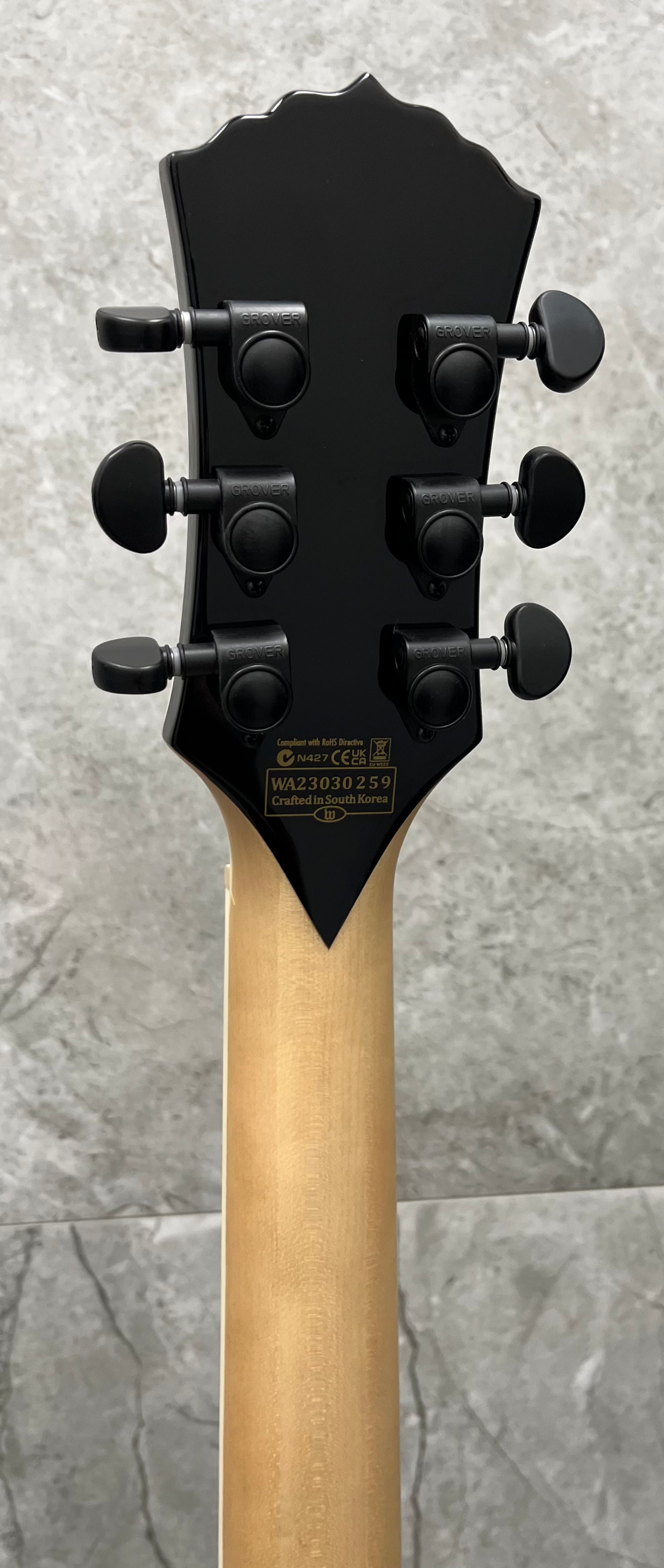 Wylde Audio Heathen Grail Tortoise Black Blizzard Electric Guitar, Buzzsaw Rawtop 4551-SHC SERIAL NUMBER WA23030259 - 8.8 LBS