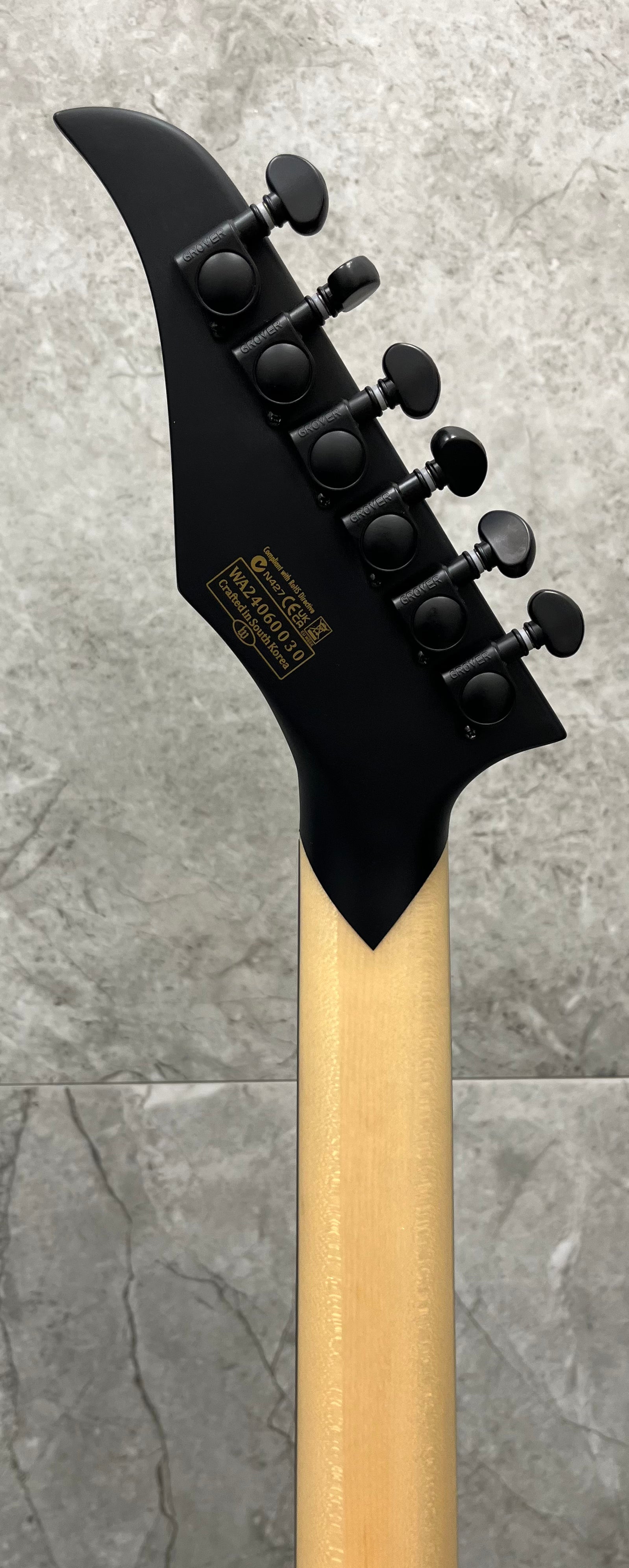 Wylde Audio BLOOD EAGLE - Mahogany Blackout Electric Guitar 4520-SHC SERIAL NUMBER WA24060030 - 9.0 LBS