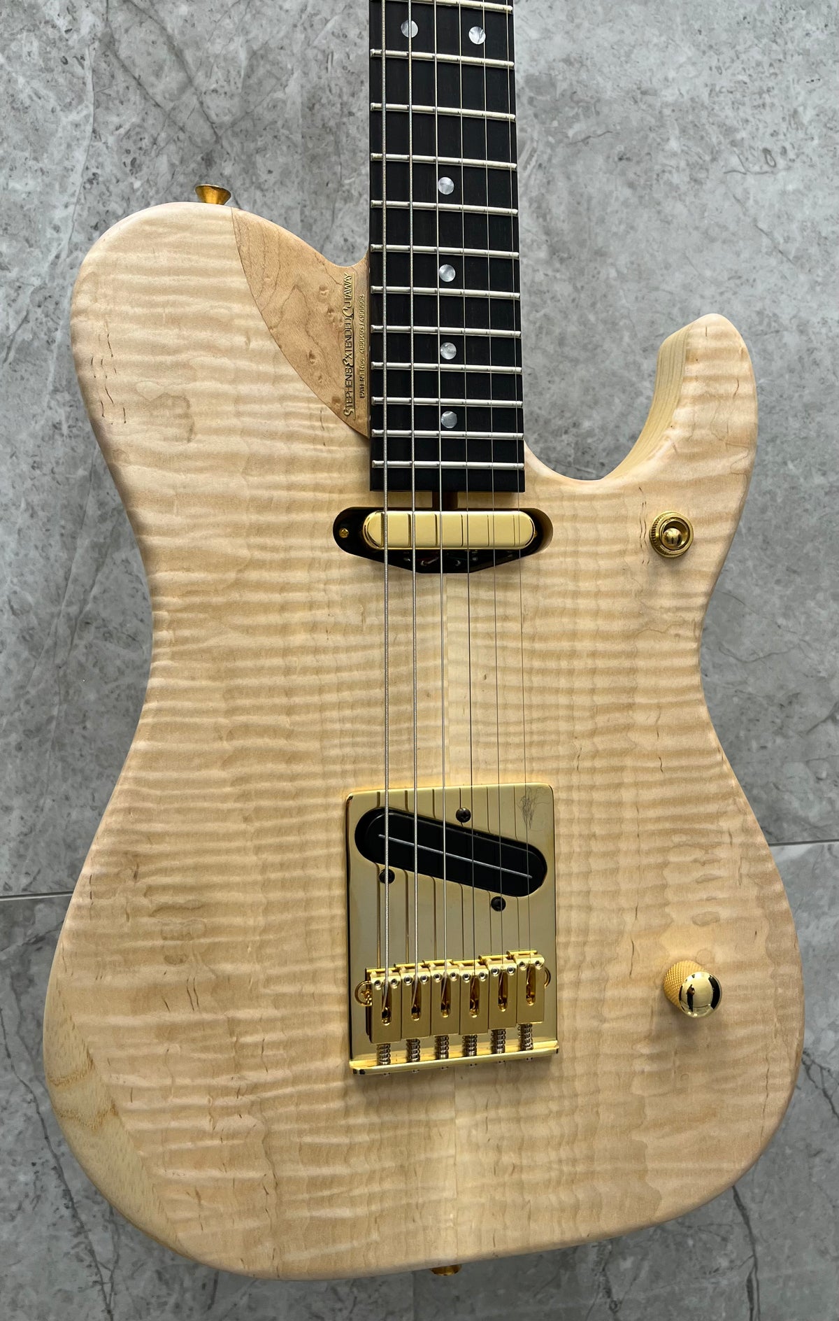 Washburn USA CUSTOM SHOP NUNO BETTENCOURT Nele Deluxe Series Electric