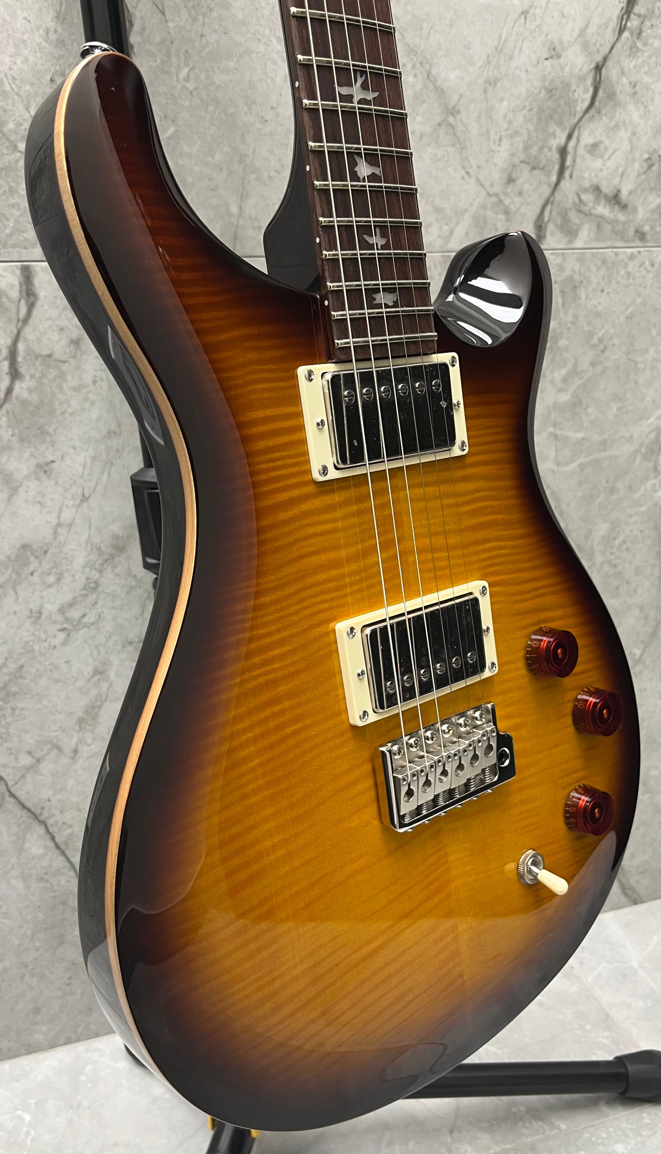 PRS Guitars SE DGT Electric Guitar with Gig Bag, Birds Inlay