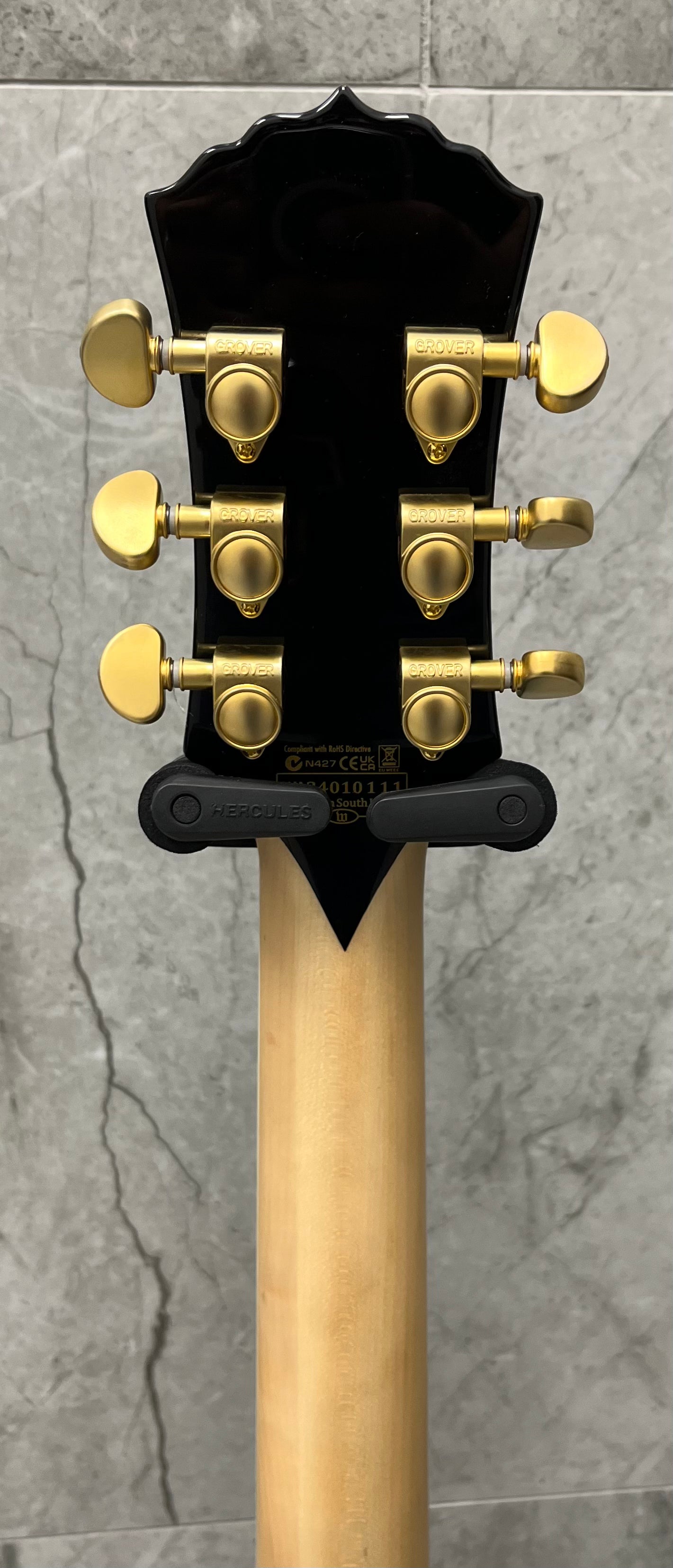 Wylde Audio Goregehn Special Edition Electric Guitar, Blood River Burl 4578-SHC