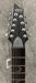 Schecter DAMIEN PLATINUM DAMIEN-PLAT-9-SBK Satin Black 9 String Guitar with EMG 909 Pickups 1193-SHC