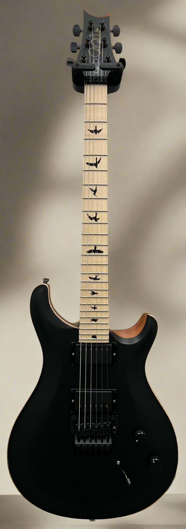 PRS Guitars USA DW CE 24 Dustie Waring Floyd Electric Guitar with Gigbag - Black Top 112797::ZV: SERIAL NUMBER 24 0400415 - 7.6 LBS