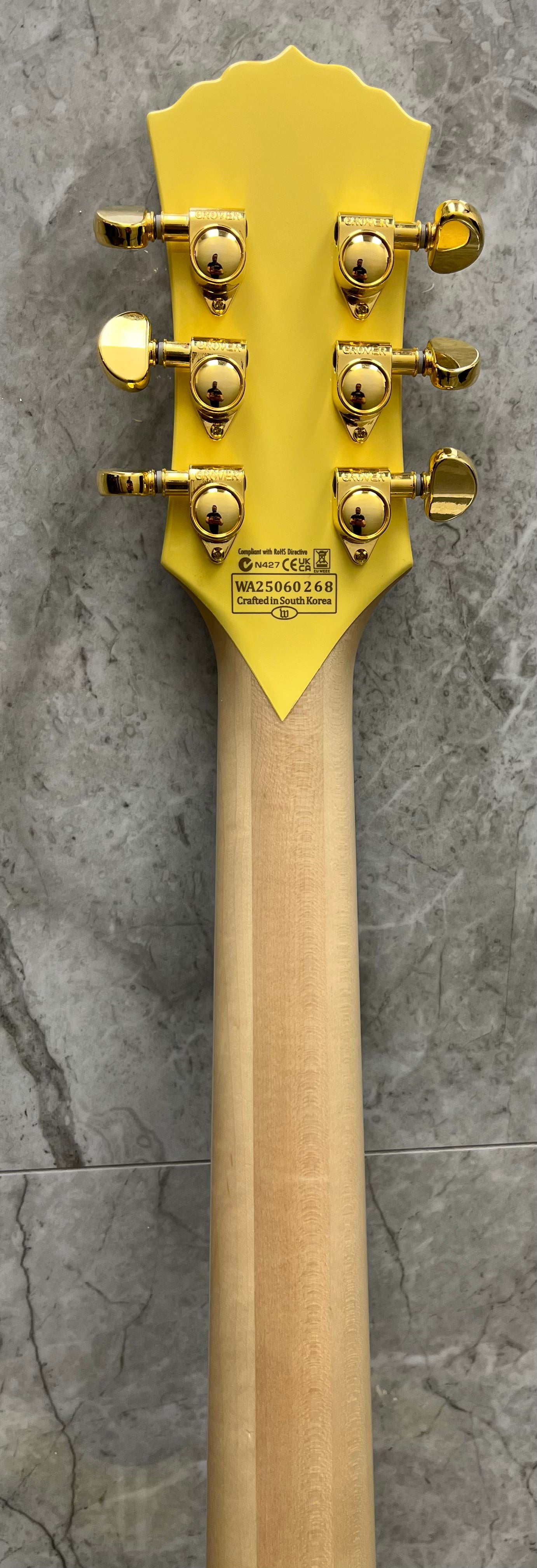 Wylde Audio Odin Grail Genesis Bullseye 4513-SHC