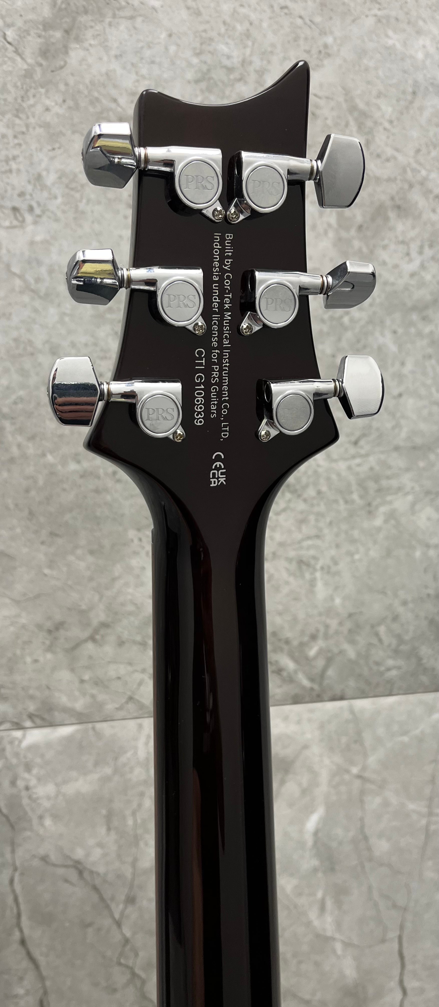 PRS Guitars SE DGT Electric Guitar with Gig Bag, Moons Inlay - Gold Top 111388::GT: SERIAL NUMBER CTIG106939 - 7.0 LBS
