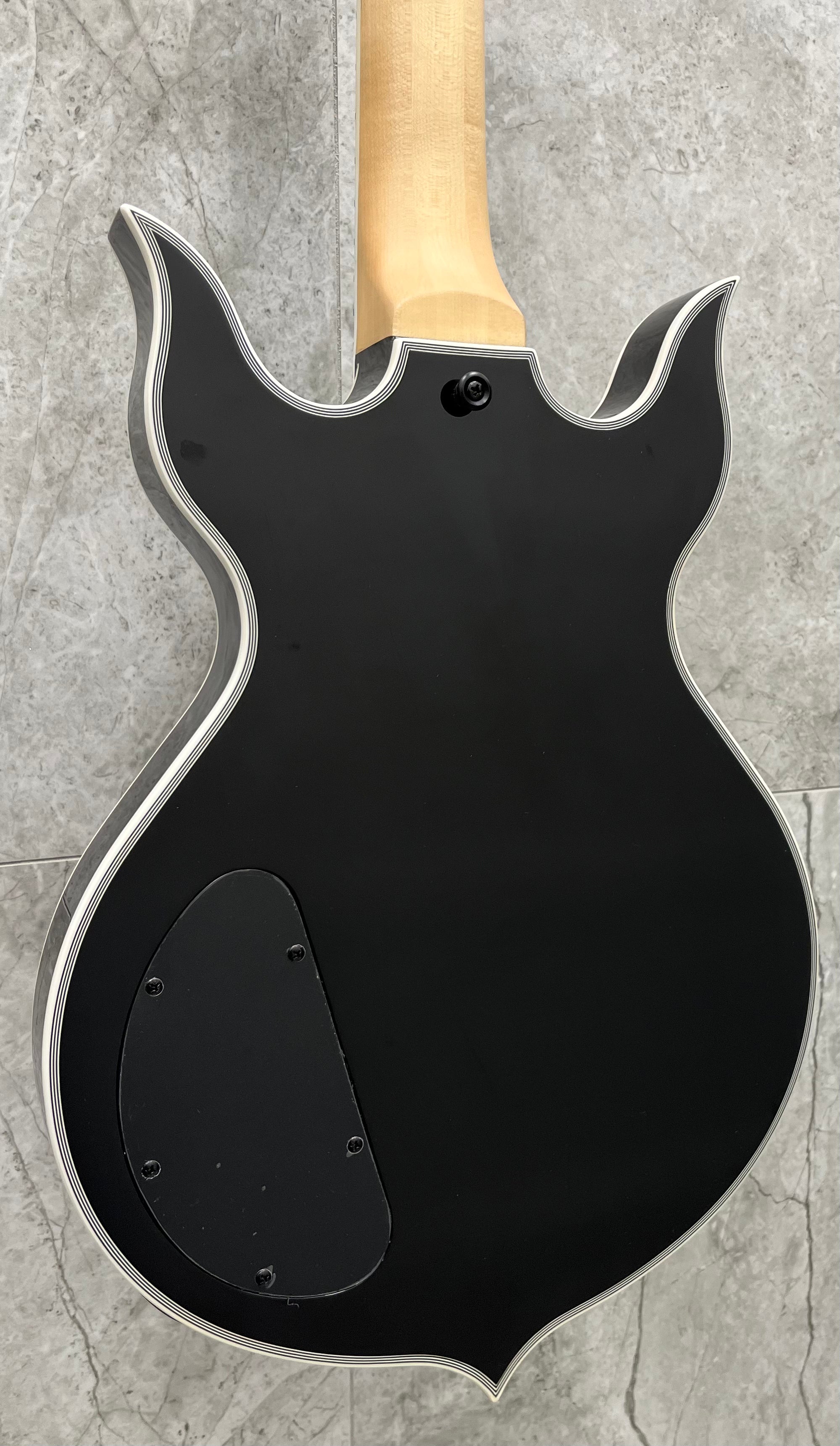 Wylde Audio Heathen Grail Tortoise Black Blizzard Electric Guitar, Buzzsaw Rawtop 4551-SHC SERIAL NUMBER WA23030259 - 8.8 LBS