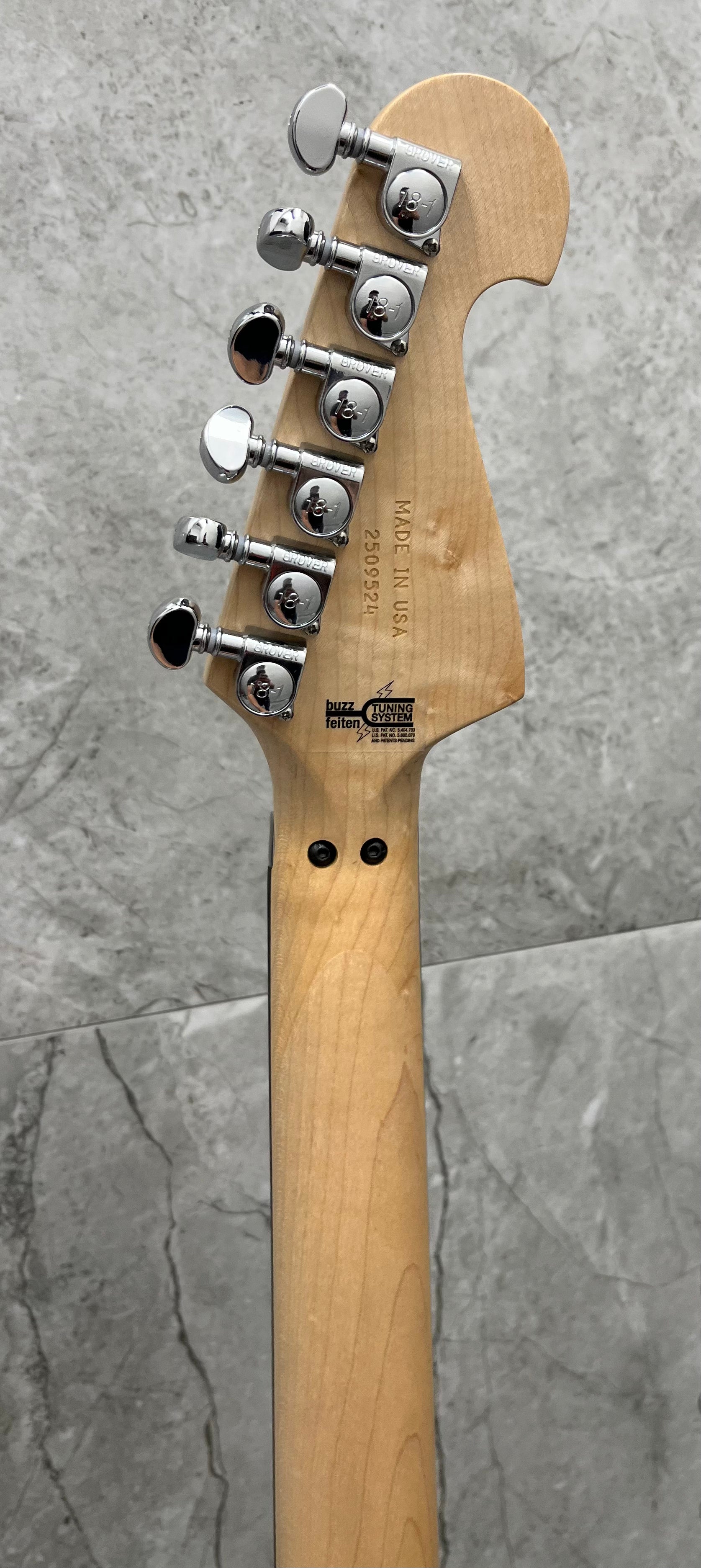 Washburn USA N4 Nuno Bettencourt Swamp Ash Natural Matte Finish N4ESANM-D SERIAL NUMBER 2509524 - 6 LBS 10 OZ