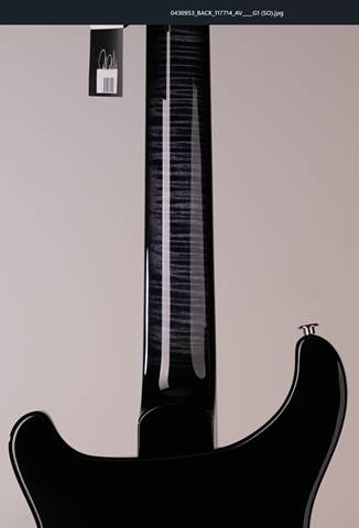 PRS USA Custom 24 Stoptail Wood Library Limited Edition R6 - Purple Mist - Stained Neck 117714::R6