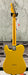 Fender Britt Daniel Tele Thinline Maple Fingerboard - Amarillo Gold 0113702751