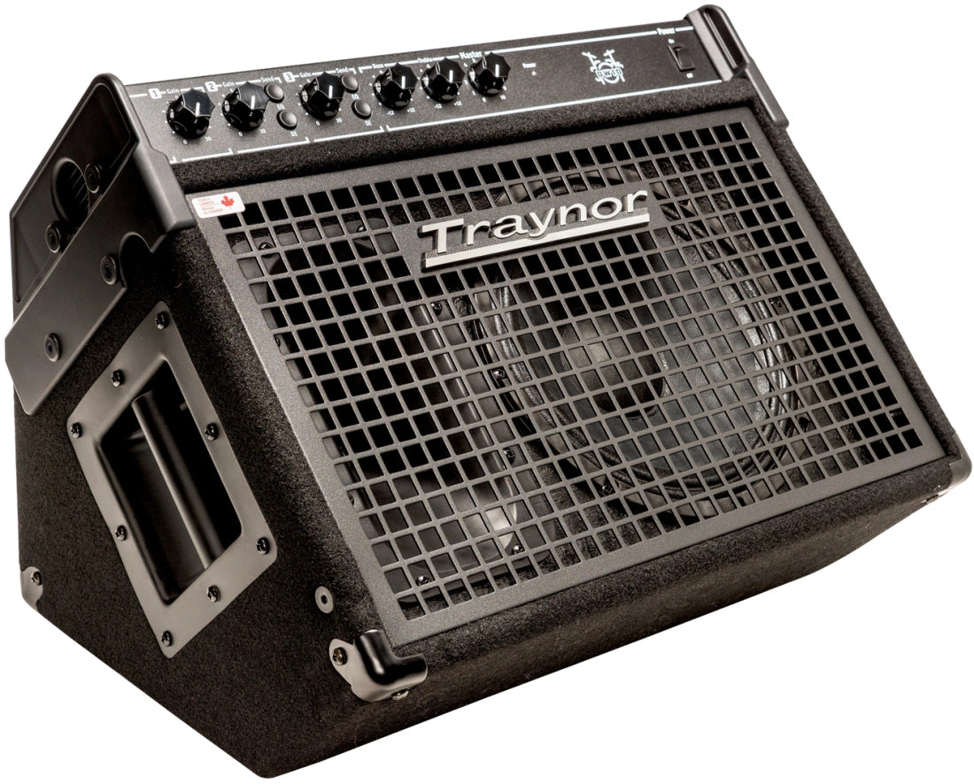 Traynor 10''/200 Watt Combo Drum Amp DW10-DR