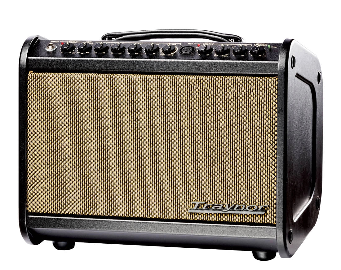 Traynor 65 Watt Acoustic Amp w/Effects Model: # AMMINI