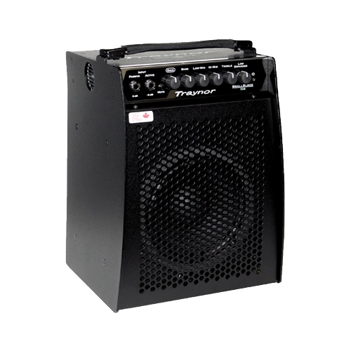 Traynor 100 Watt Micro Combo/Bass Head SB106
