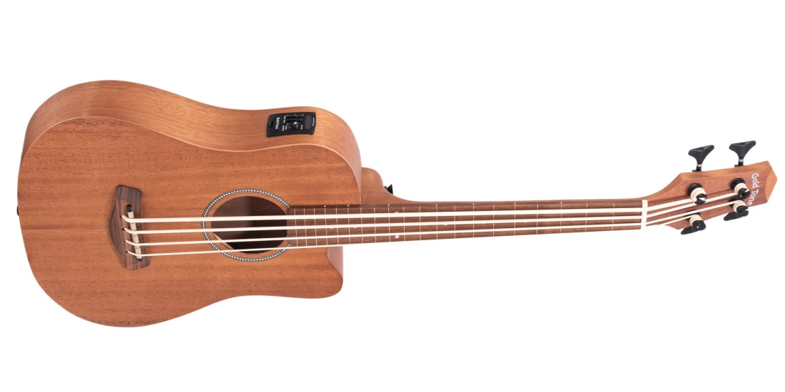 Gold Tone Micro Bass 23 Fretless with Gigbag MBASS/FL