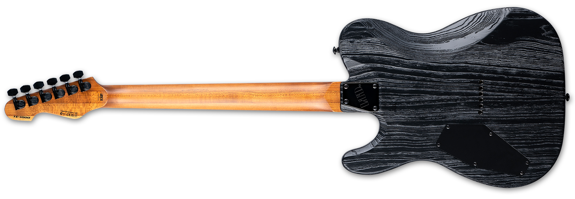 ESP LTD TE-1000 Electric Guitar - Silver Blast LTE1000SBLAST