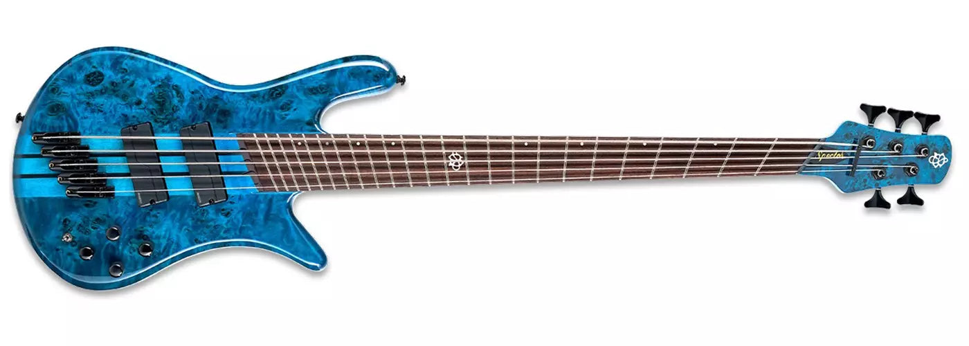 Spector Bass NS Dimension 5 Multi-Scale Bass Guitar - Black & Blue Gloss NSDM5BKBL