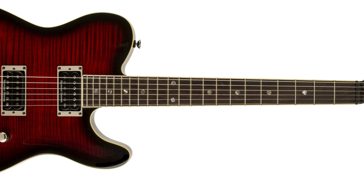 激レア】fender telecaster ALLBLK
