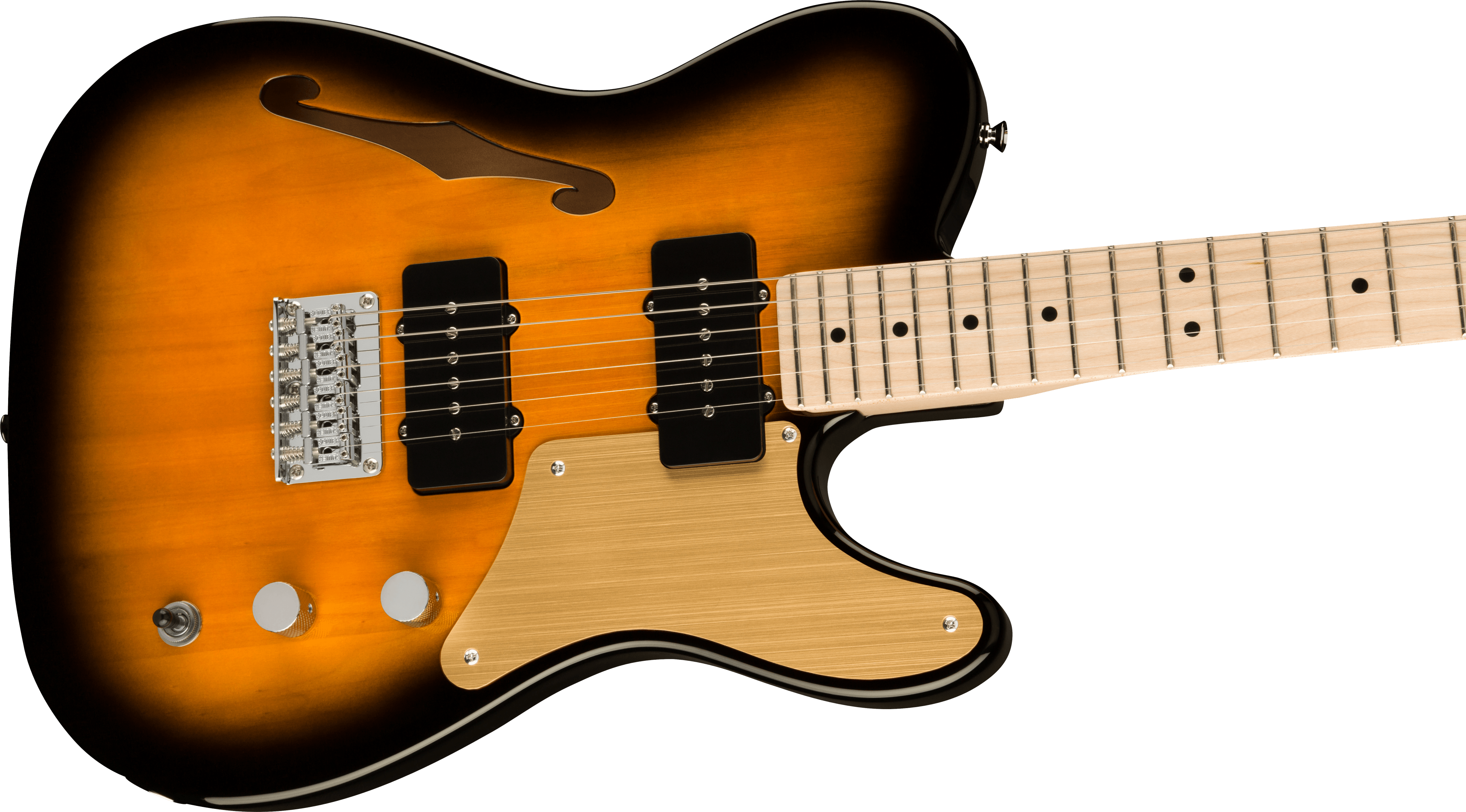 SQUIER  Paranormal Cabronita Telecaster Thinline Maple Fingerboard Gold Anodized Pickguard, 2-Color Sunburst F-0377020503