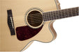 Fender CJ-290SCE Jumbo Maple with Case, Natural 0961565221 - L.A. Music - Canada's Favourite Music Store!