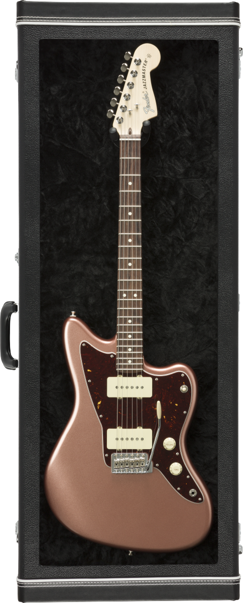 Fender Guitar Display Case Black F-0995000306