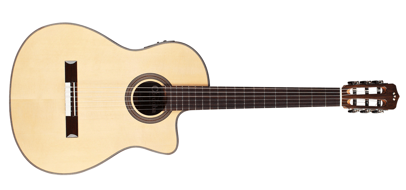 12 String Acoustic