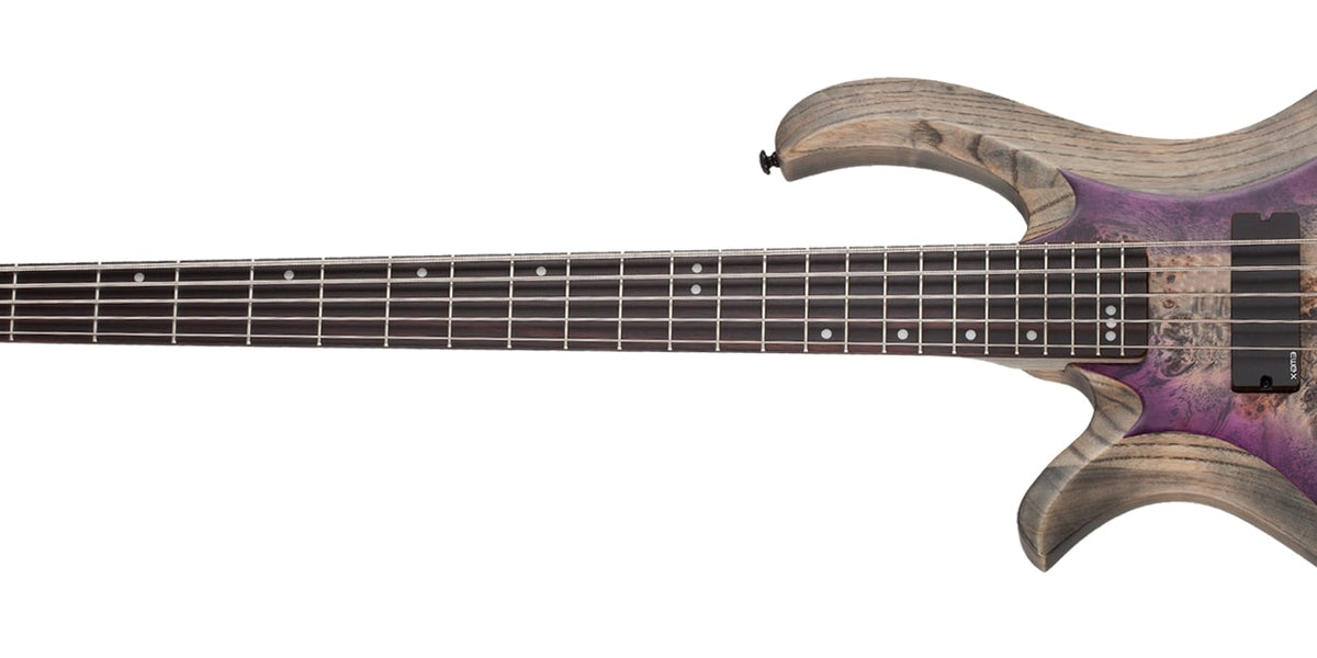 Schecter Riot-5 Left-Handed Electric Bass Aurora Burst (ARB) 1455-SHC ...