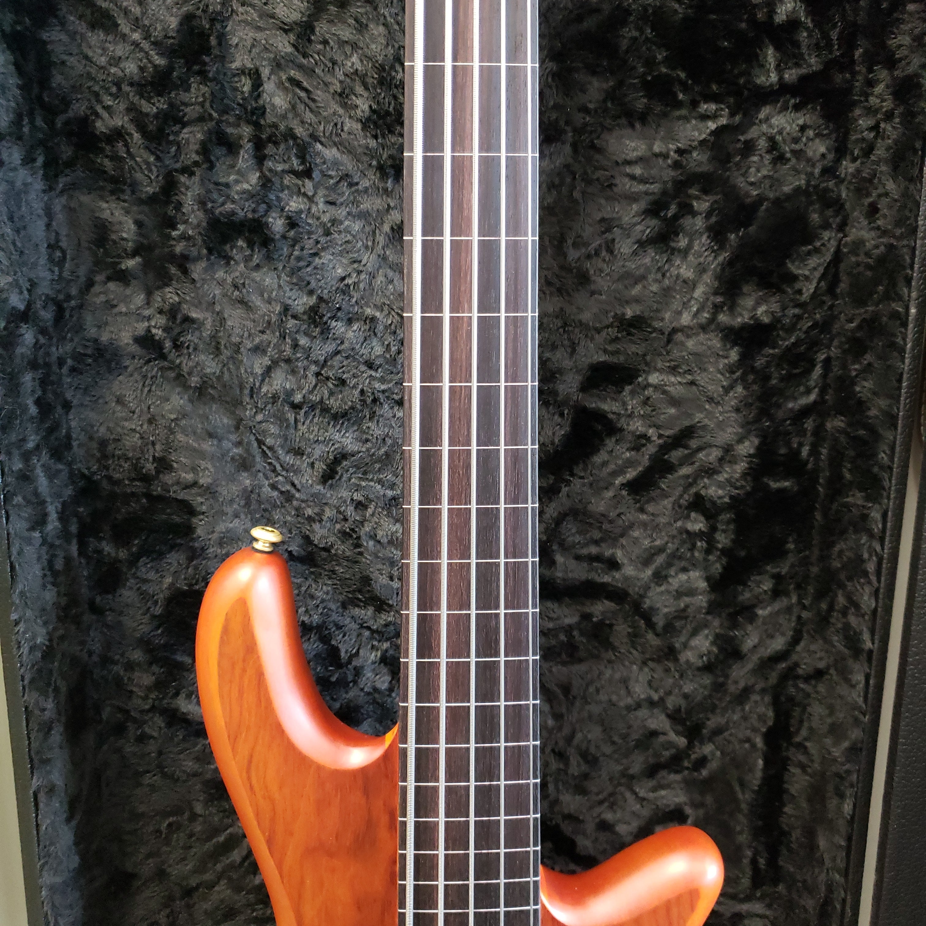 Schecter STILETTO-STU-5-FL-HSN Fretless Honey Satin 5 String Bass 2770-SHC