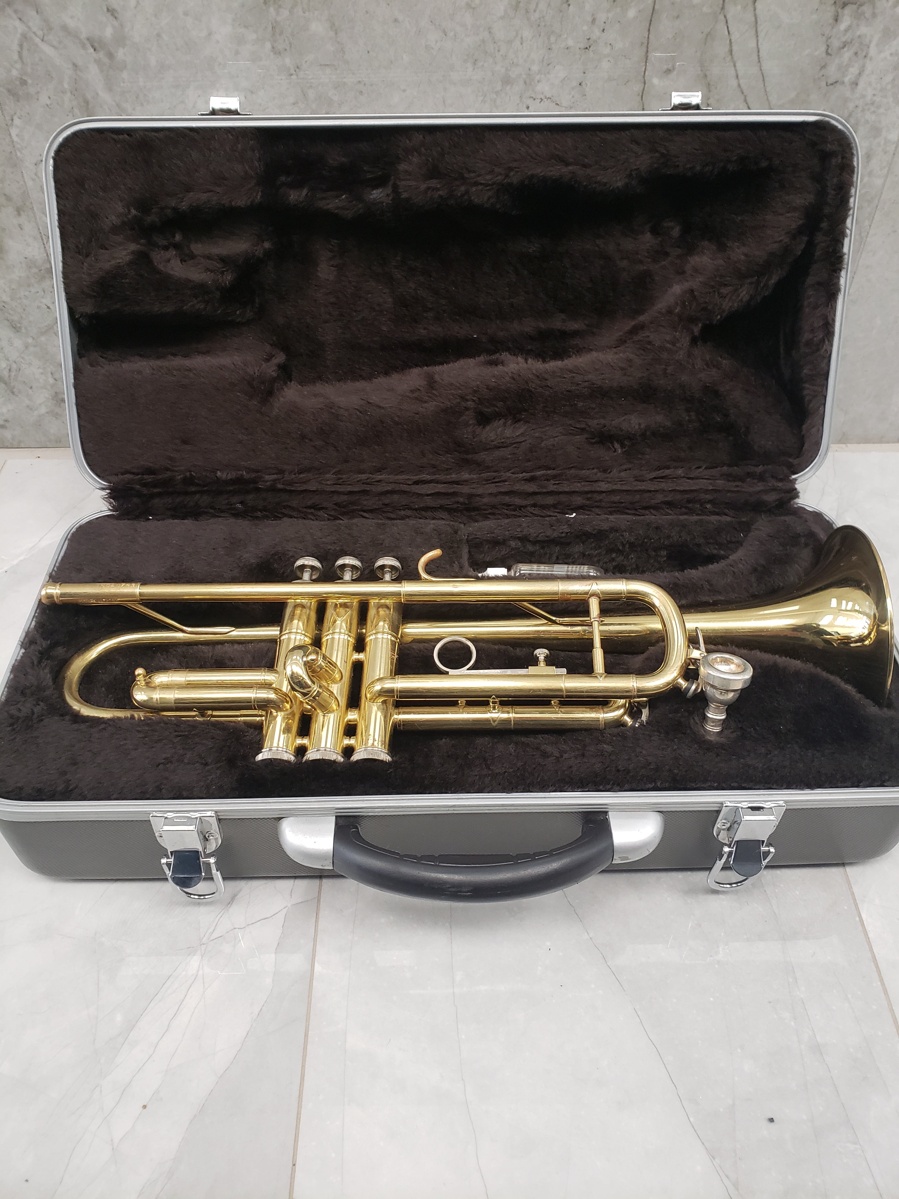 Taishan Winds TSTR-801 - USED Case damaged