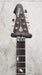 Schecter DJ ASHBA SCG CARBON GREY 270-SHC