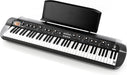 Korg 73-key RH3 EDS Stage Vintage keyboard with Vintage FX+12AX7 tube,Black - L.A. Music - Canada's Favourite Music Store!