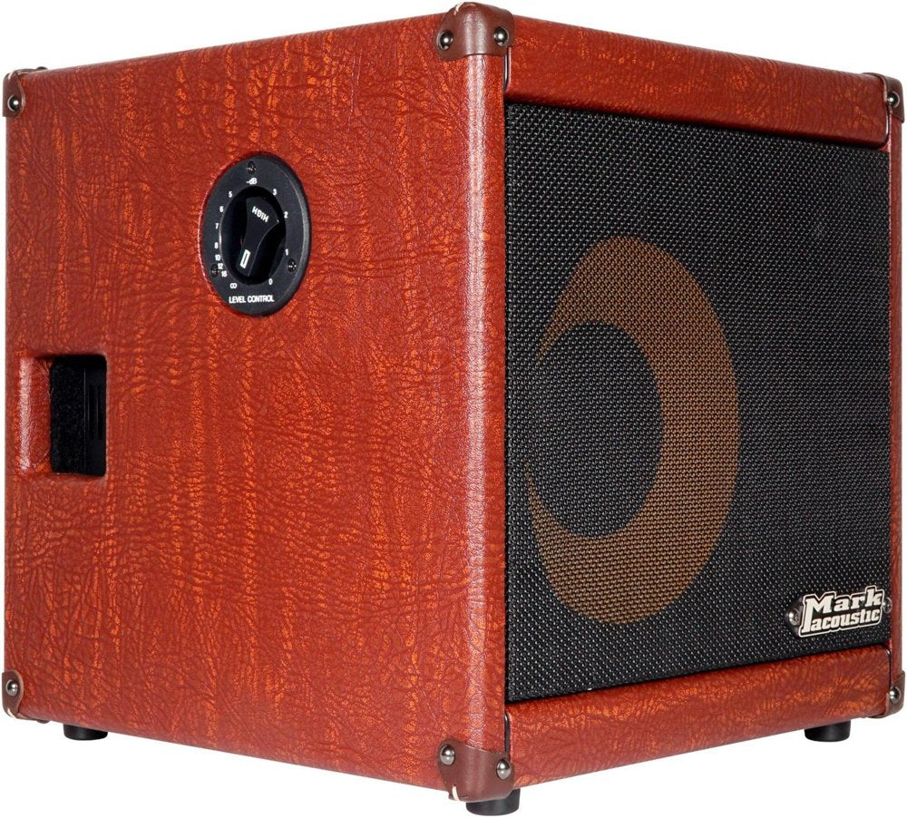 DV Mark 150 WATT 1x10 Acoustic Combo Amp AC101H