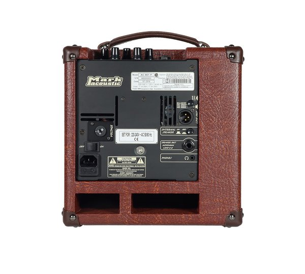 DV Mark 50 watt Acoustic Combo Amplifier AC801P