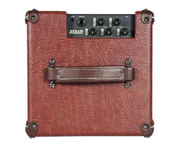 DV Mark 50 watt Acoustic Combo Amplifier AC801P