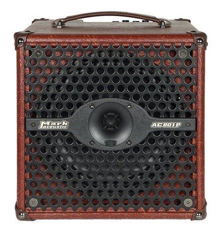 DV Mark 50 watt Acoustic Combo Amplifier AC801P