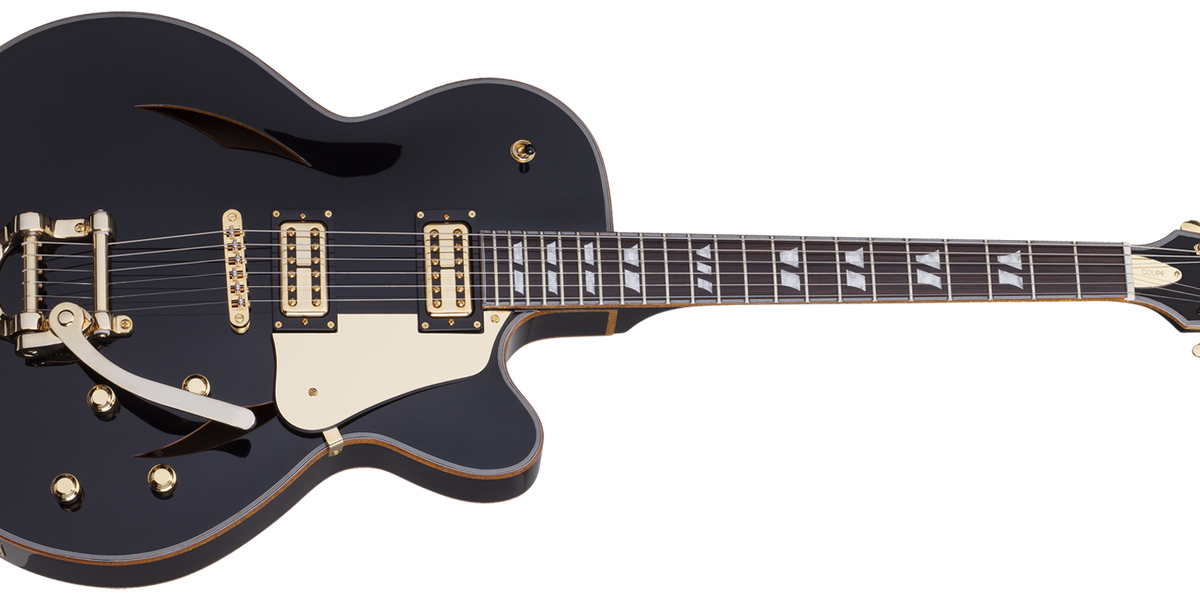 Schecter guitars cheap hollow body