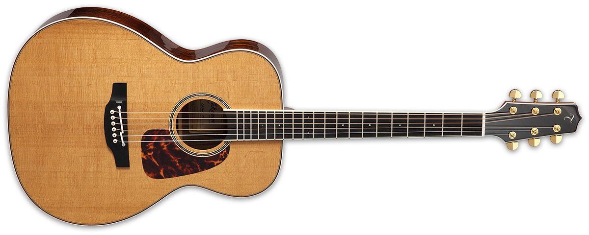 Takamine Thermal Top Acoustic Guitar Natural CP7MO TT