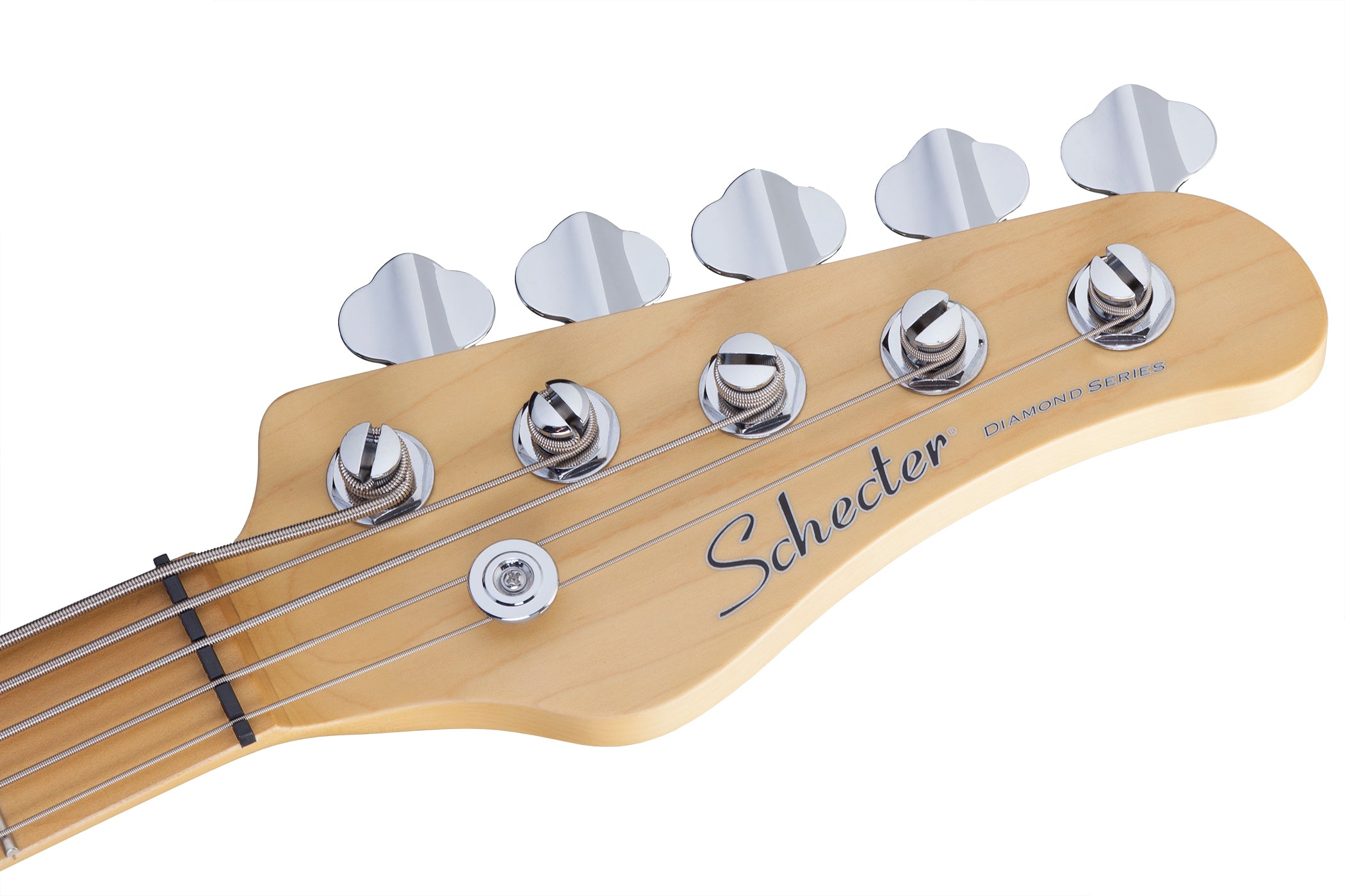 Schecter CV-5-IVY CV 5 String Bass Ivory 2495-SHC