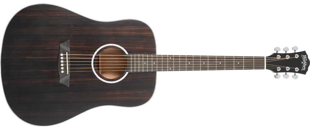 Washburn Deep Forest Dreadnought Acoustic Guitar, Striped Ebony DFED