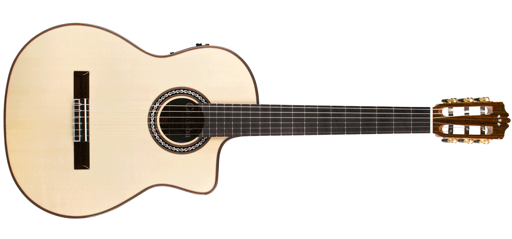Gk hollow body deals guitar