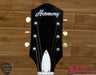 Harmony Hollow Body Electric Guitar with Case - Used - L.A. Music - Canada's Favourite Music Store!