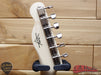 Fender Custom Shop Albert Collins Signature Telecaster, Maple Fingerboard, Natural 108800821 - L.A. Music - Canada's Favourite Music Store!