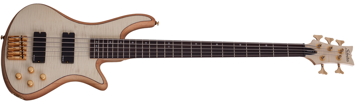 Schecter stiletto discount custom 6