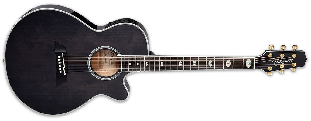 Takamine Thinline Solid Spruce Top Acoustic Guitar With Case, See